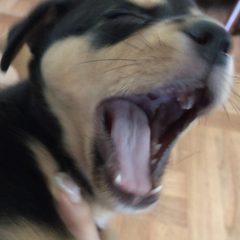 프로필 이미지